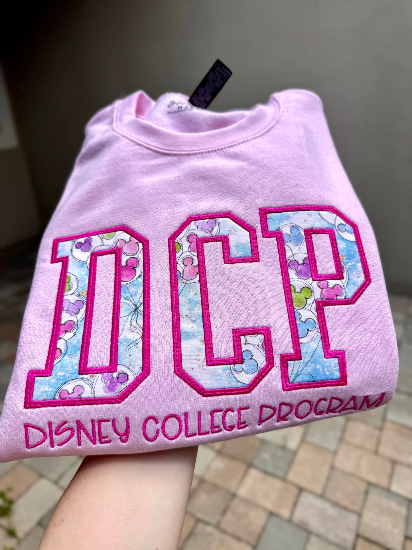 Theme Park Appliqué Sweatshirts