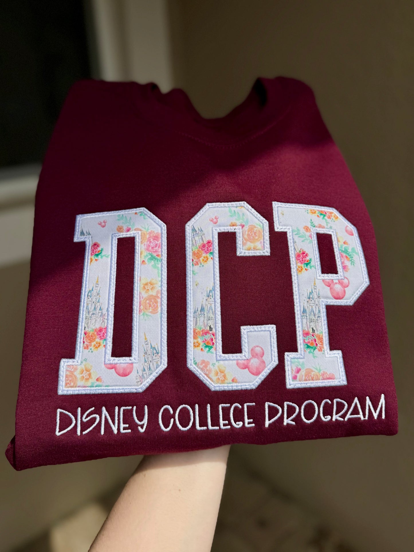Theme Park Appliqué Sweatshirts