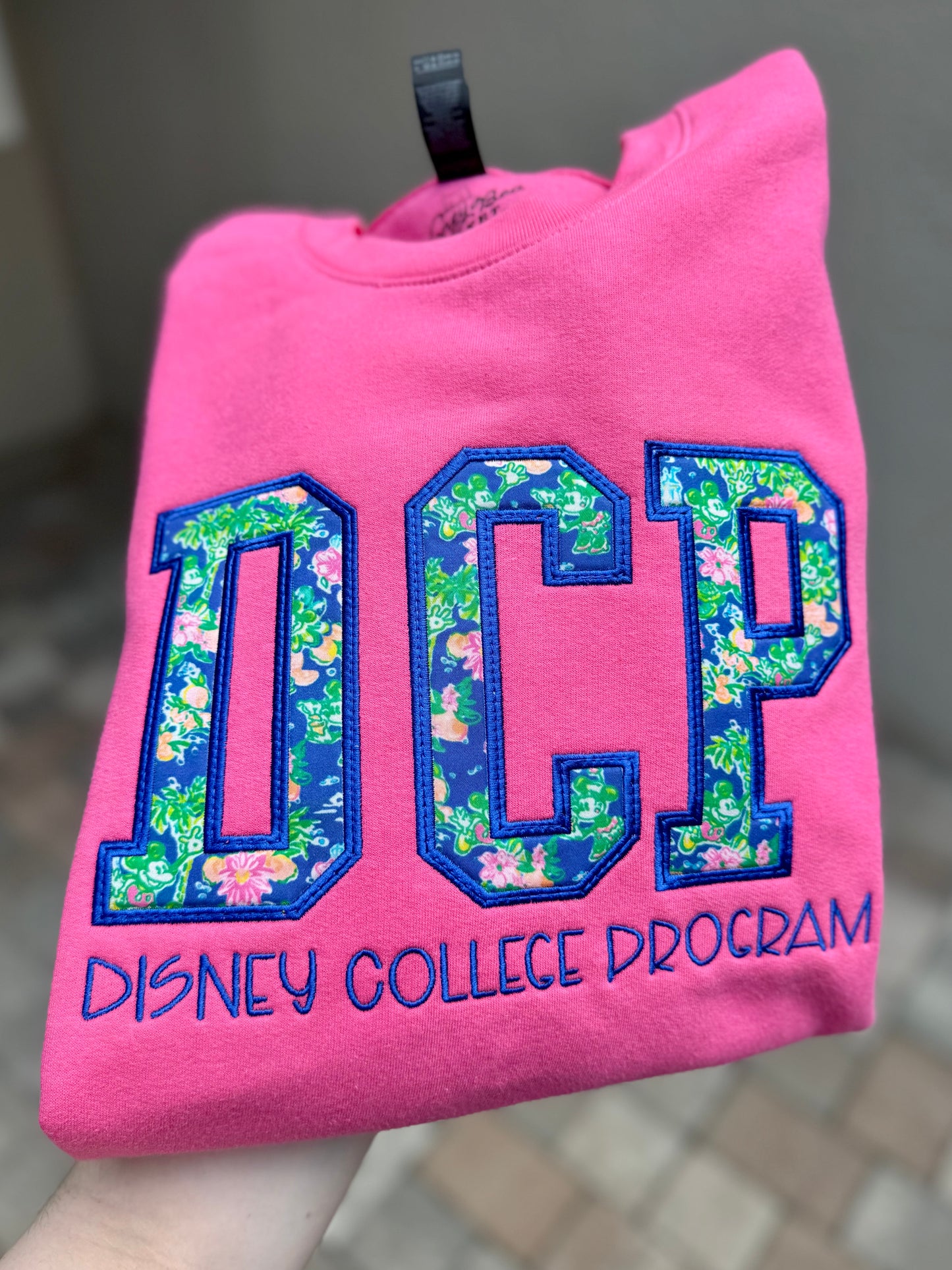Theme Park Appliqué Sweatshirts