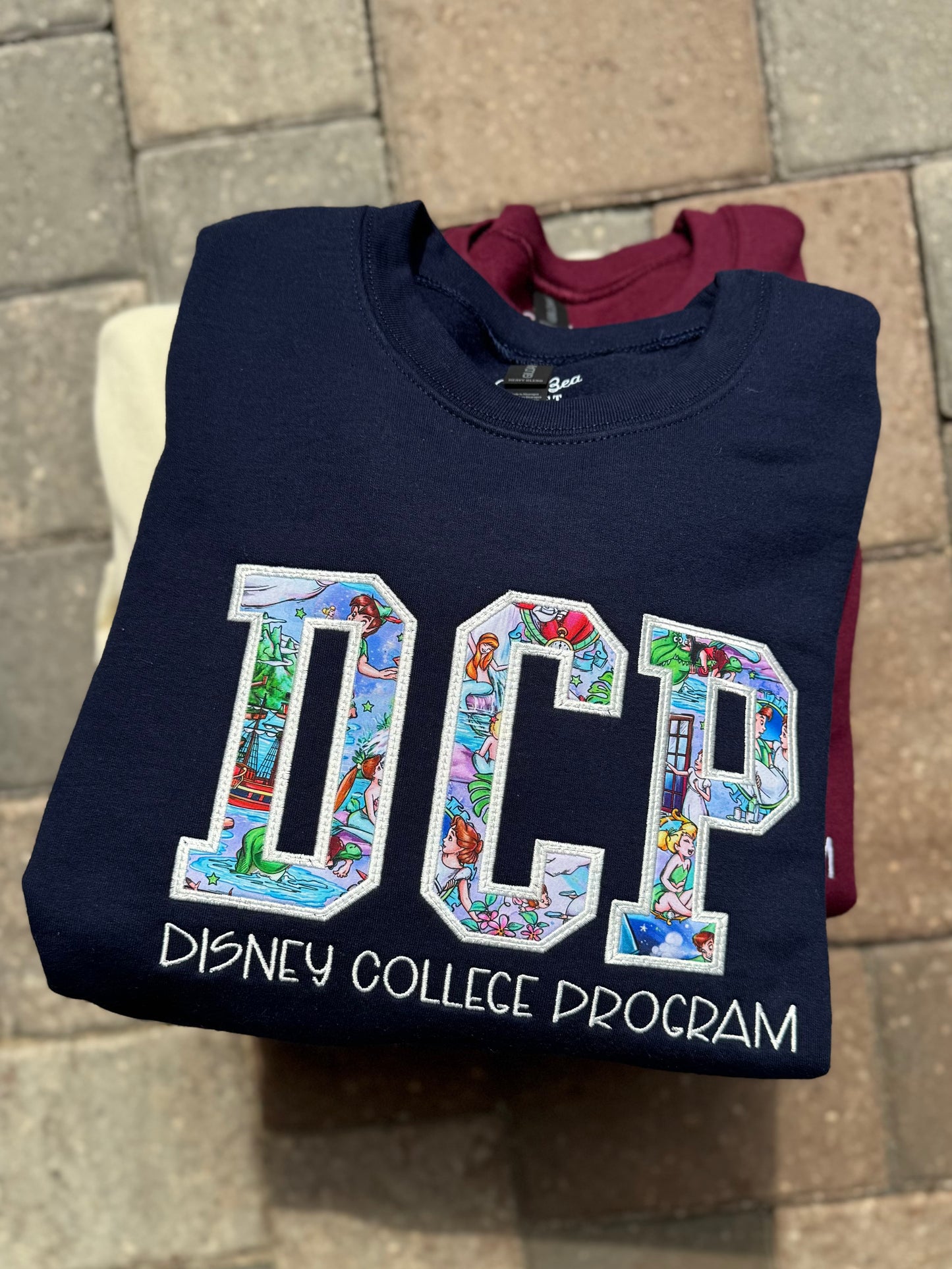 Theme Park Appliqué Sweatshirts