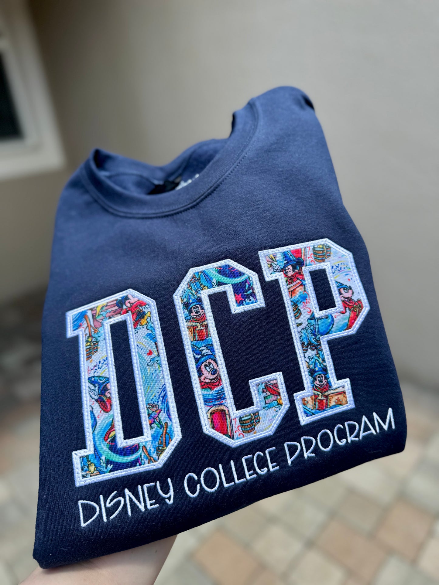 Theme Park Appliqué Sweatshirts